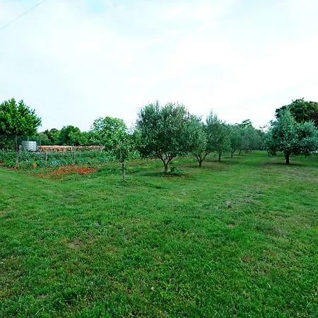 Apartamento Paola